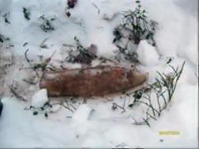 Фото Школьники нашли в Челябинской области артиллерийские снаряды времен гражданской войны