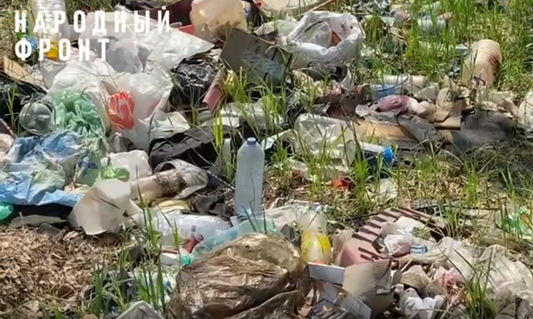 Фото  В элитном микрорайоне Челябинска растет стихийный мусорный полигон