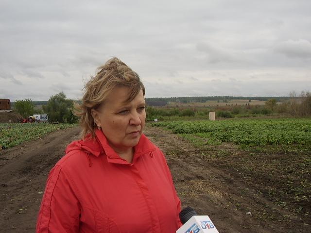 Фото Теперь даже в засуху Челябинская область сможет обеспечить собственные потребности в картофеле и овощах