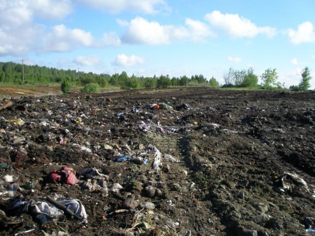 Фото Самые грязнули живут в Аргаяшском районе
