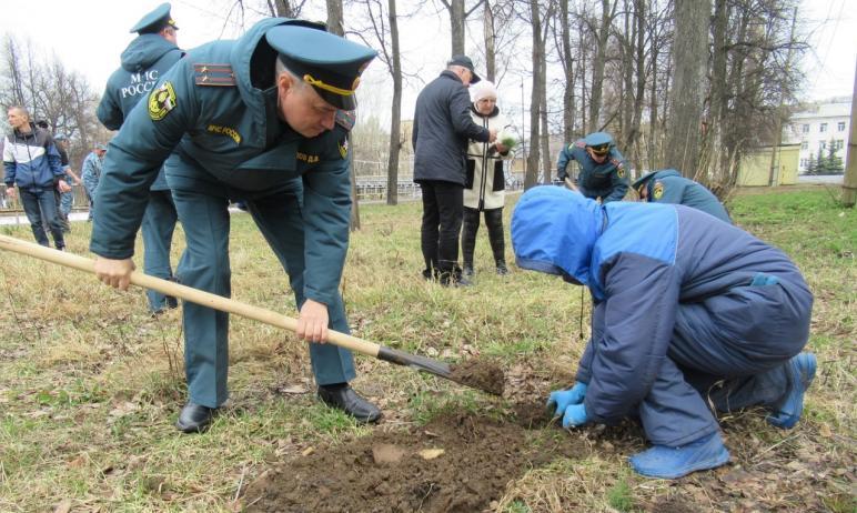 Фото «Аллея Победы»: в Ашинском районе огнеборцы высадили молодые кедры