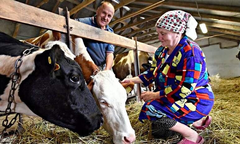 Фото В Челябинской области гранты получат 13 семейных ферм