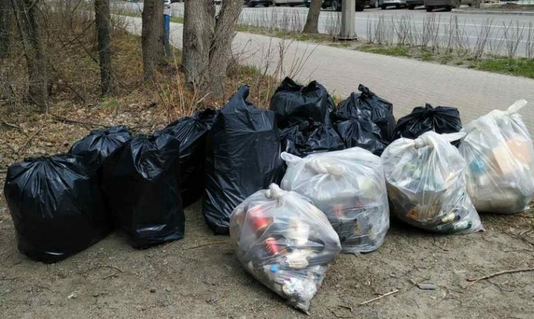 Фото В Челябинской области собранный на субботниках мусор вывезут в течение недели