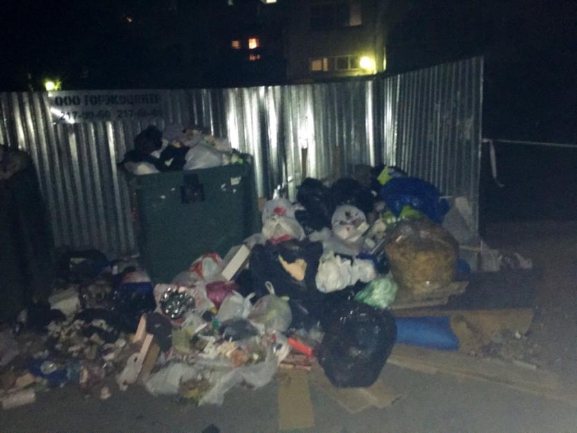 Фото «ГорЭкоЦентр» оштрафован за мусорный коллапс в Челябинске