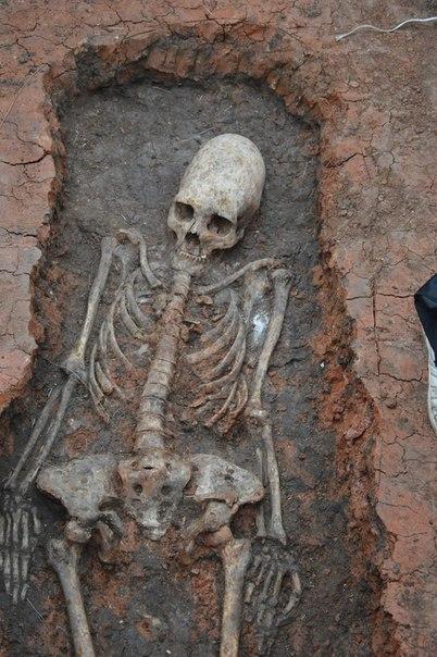 Фото На Аркаиме археологи обнаружили скелет женщины с удлиненным черепом
