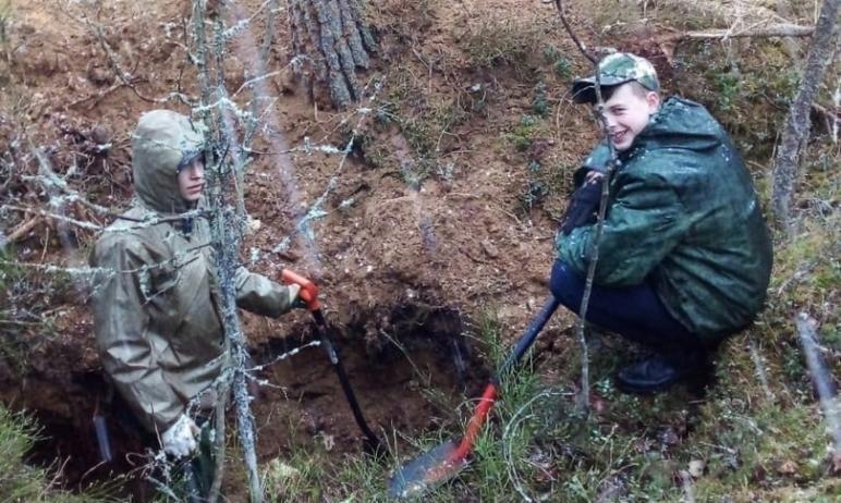 Фото Школьница из Златоуста обнаружила в Псковской области останки советского солдата