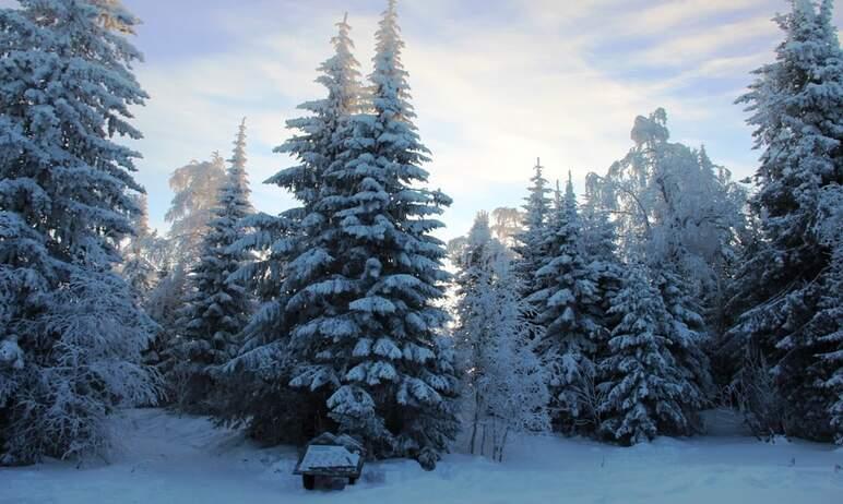 Фото Центральную усадьбу и Черную скалу «Таганая» свяжет лыжня
