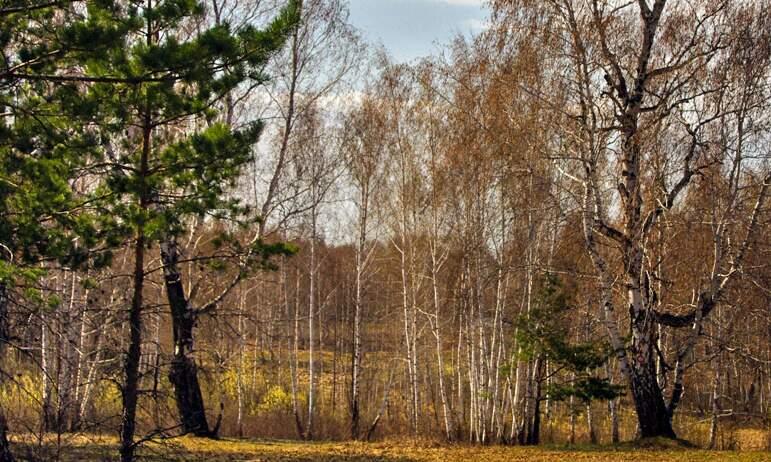 Фото В выходные в Челябинской области местами дождь со снегом, порывистый ветер