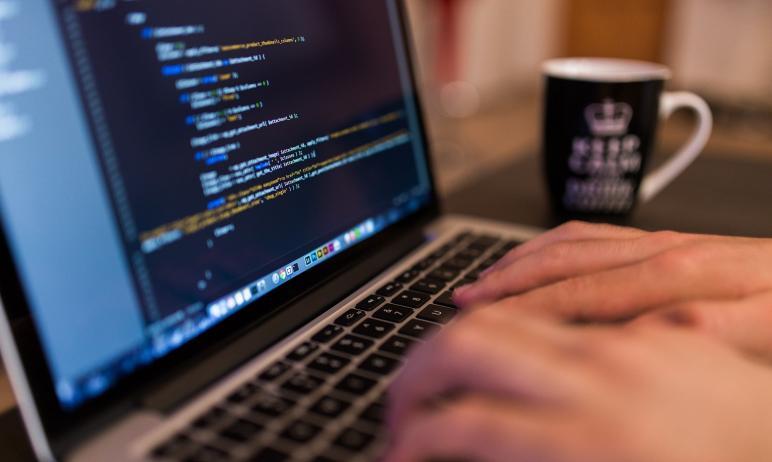 Фото Веб-студия «Web-crazy» сделает сайты для НКО совершенно бесплатно