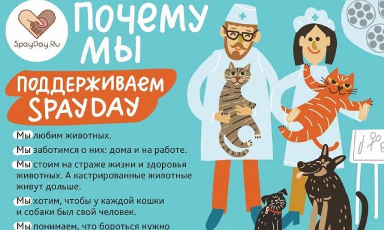 Фото Челябинская ветстанция стерилизует четвероногих пациентов по льготным ценам 