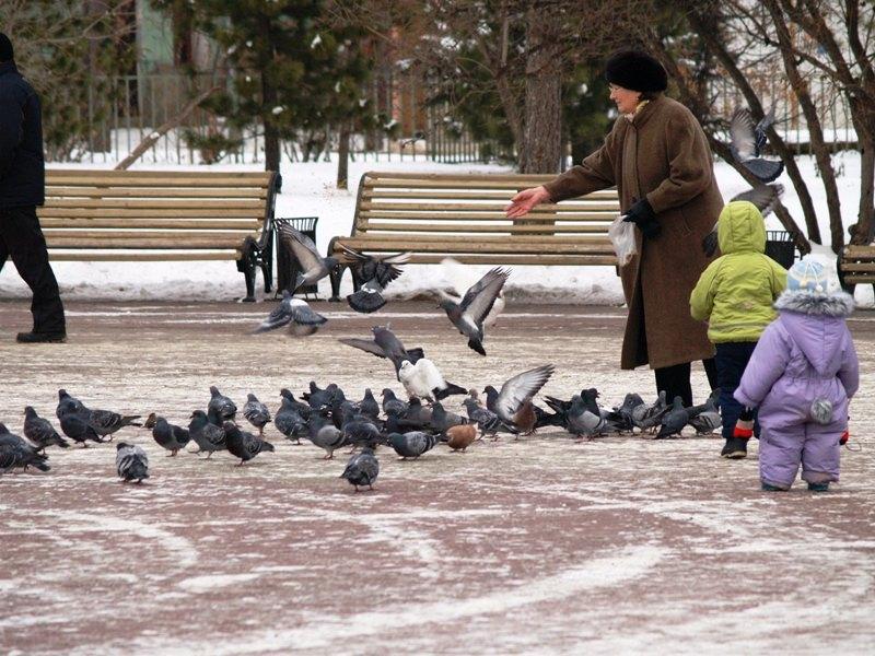 Фото По народной традиции - Парамон Зимоуказатель