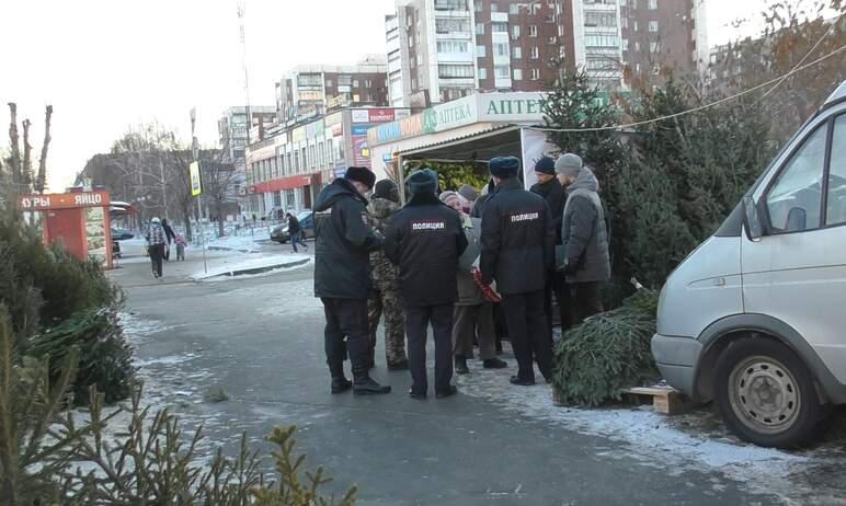 Фото В Челябинске торговцы елками создают опасные ситуации на дорогах