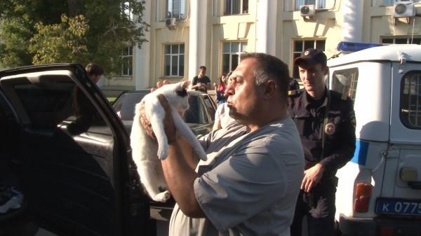 Фото В Челябинске вегетарианцы на неделю закрыли котов в машине для перевоспитания
