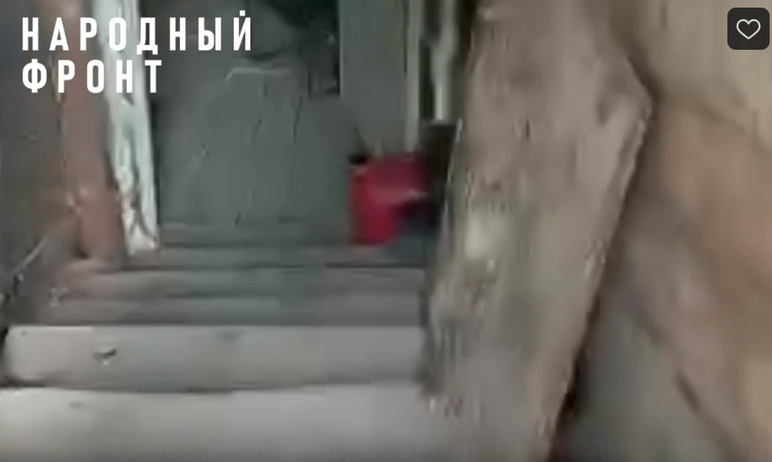 Фото Челябинские бойцы, находящиеся в зоне СВО, провели экскурсию по своему блиндажу