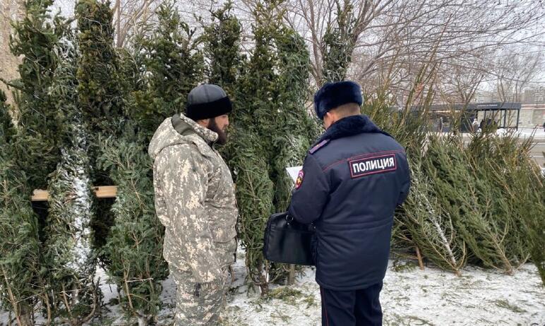Фото Ёлочные базары Челябинска проверяет полиция – первые нарушения закона уже выявлены
