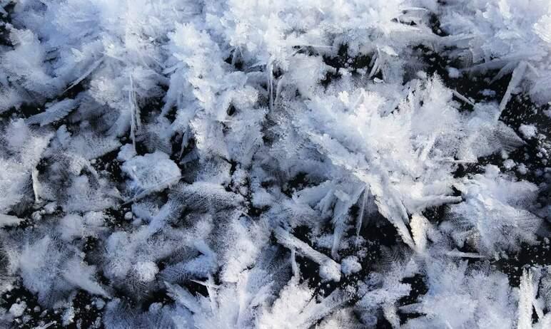 Фото У границ «Зигальги» «распустились» ледяные цветы