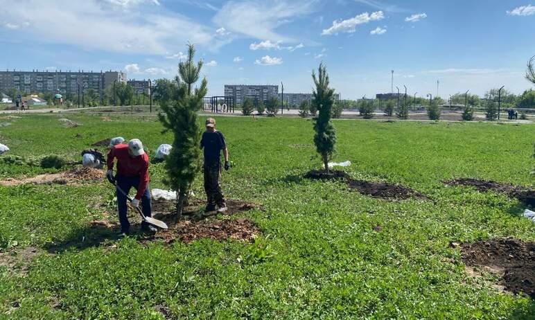 Фото На северо-востоке Челябинска появится собственный сосновый бор