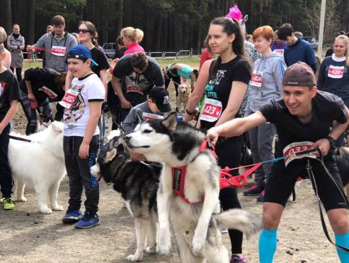 Фото ХК «Трактор» принял участие в благотворительном забеге  с собаками