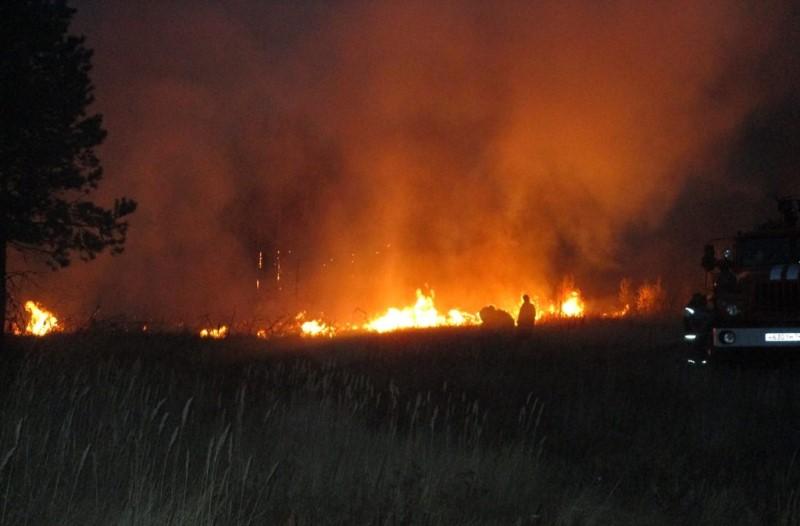 Фото В Троицком районе пожар уничтожил 24 гектара леса