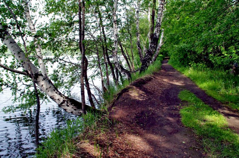 Фото В среду в Челябинской области прохладно, грозы и град