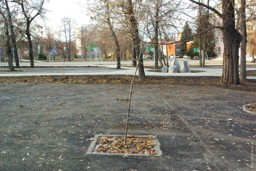 Фото Виктор Ереклинцев о реконструкции Алого поля: Я не понимаю сути претензий горожан