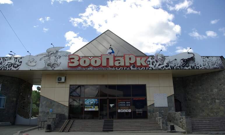 Фото Вслед за Эрикой ребенка оленю Петру подарила пятнистая Марина