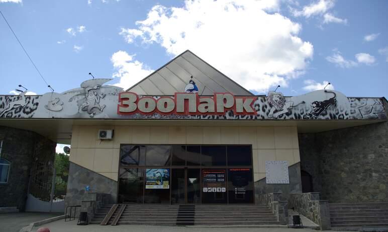 Фото Харитон, выздоравливай! В челябинском зоопарке борются за жизнь гималайского медведя