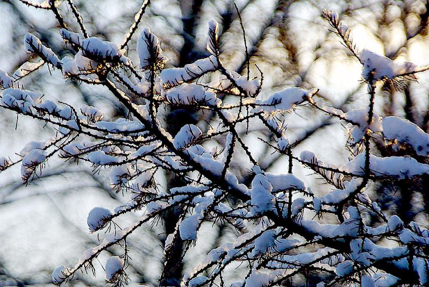 Фото В Челябинской области снег и сильный ветер