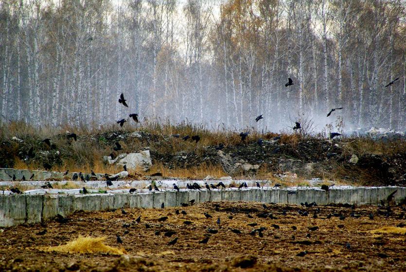 Фото Составлен рейтинг самых грязных регионов 