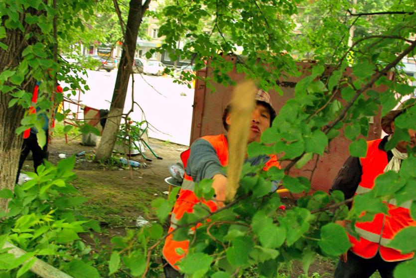 Фото В Златоусте техсовет не принял дорогу