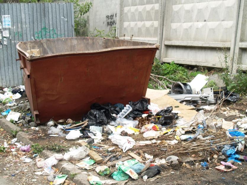 Фото Всю правду о мусоре в Челябинской области расскажет специальный журнал