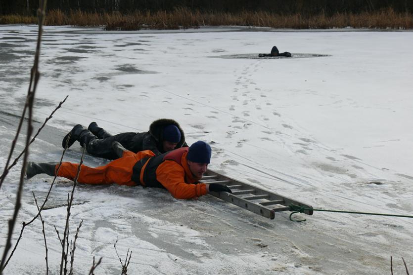 Фото На Еловом рыбак провалился под лед, спасая престарелого конькобежца