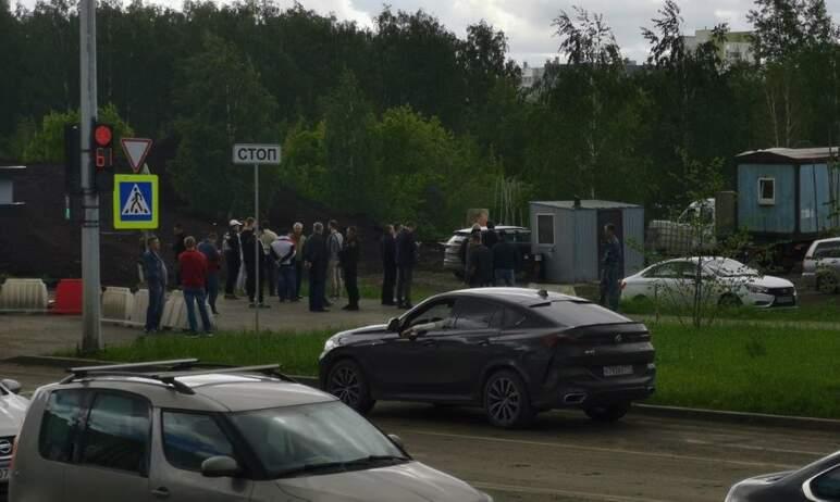 Фото На том же месте? Вместо срубленного под каток леса челябинские власти высадят саженцы