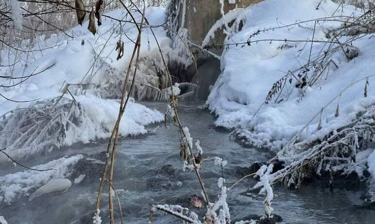 Фото В Шершневское водохранилище сливаются канализационные воды