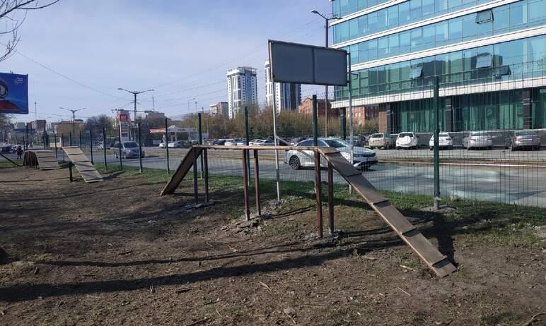 Фото Челябинцам рассказали, где они могут с комфортом выгуливать питомцев
