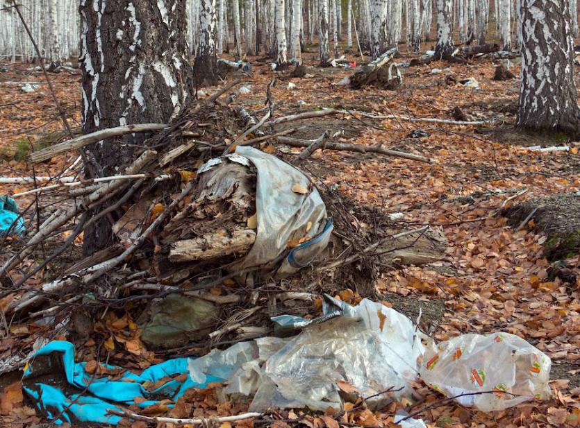 Фото В ряде районов Челябинской области зреет собственный мусорный коллапс 