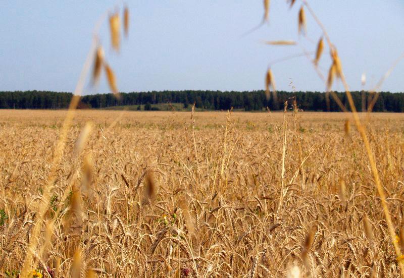 Фото Селяне Южного Урала обсуждают народный бюджет