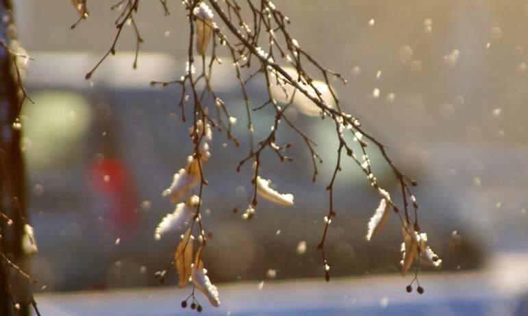 Фото Во вторник в Челябинской области – мокрый снег, заморозки, штормовой ветер