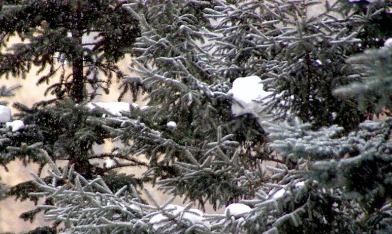 Фото Восьмого марта в Челябинской области снег, метели, порывистый ветер