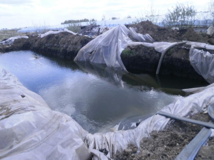 Фото Китайцы из «заморской» компании повредили плодородный слой почвы