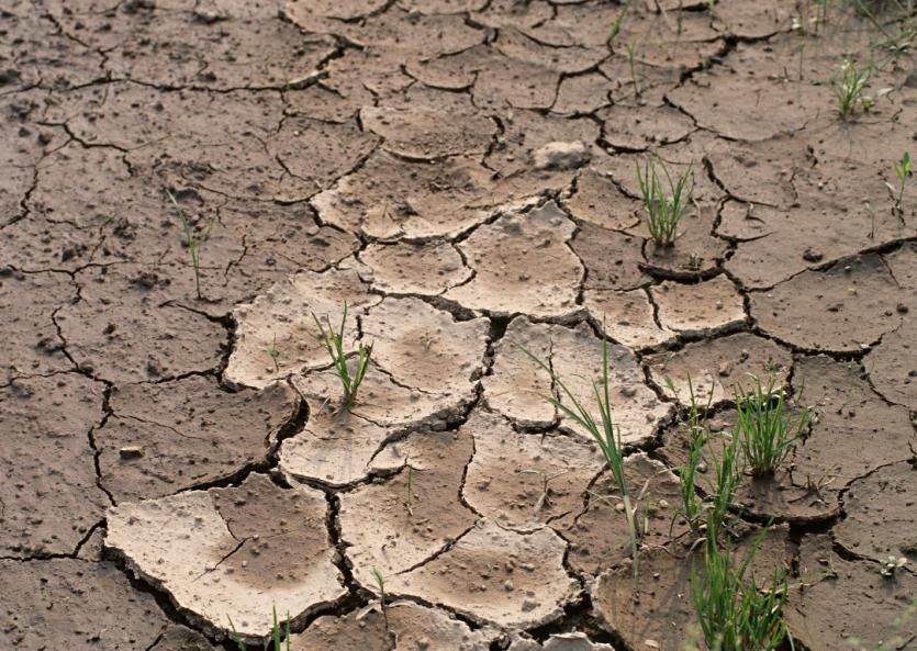 Фото На преодоление засухи южноуральские селяне получат пока 46 миллионов рублей. Подтвержденные убытки – три миллиарда