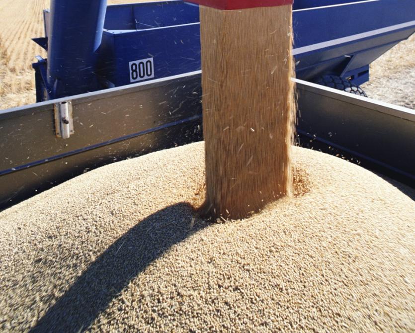 Фото Дубровский: Надеюсь, в этом году мы достигнем заветной цели – 2 миллиона тонн зерна