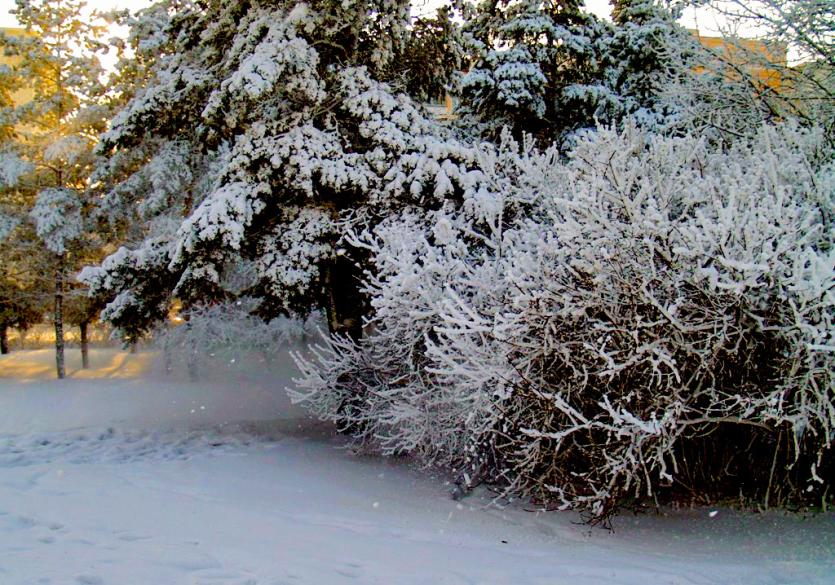 Фото Вторник в Челябинской области будет морозным