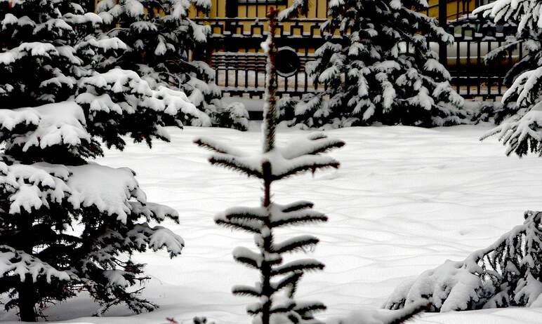Фото Понедельник в Челябинской области будет морозным