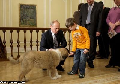 Фото Как зовут собаку Путина  