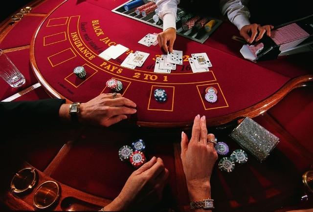 Фото В Сети появился сайт, разоблачающий нелегальные казино