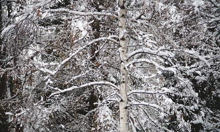 Фото В Челябинской области выходные будут морозными, местами снег