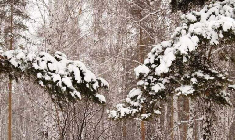 Фото Зима в Челябинской области начнется с плюсовых температур и дождя со снегом