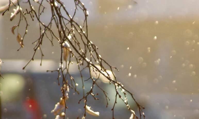 Фото В южных районах Челябинской области выпал снег, в Челябинске обещают на следующей неделе