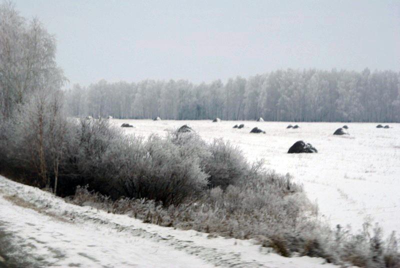 Фото На трассе М-5 в аварии погибла девушка